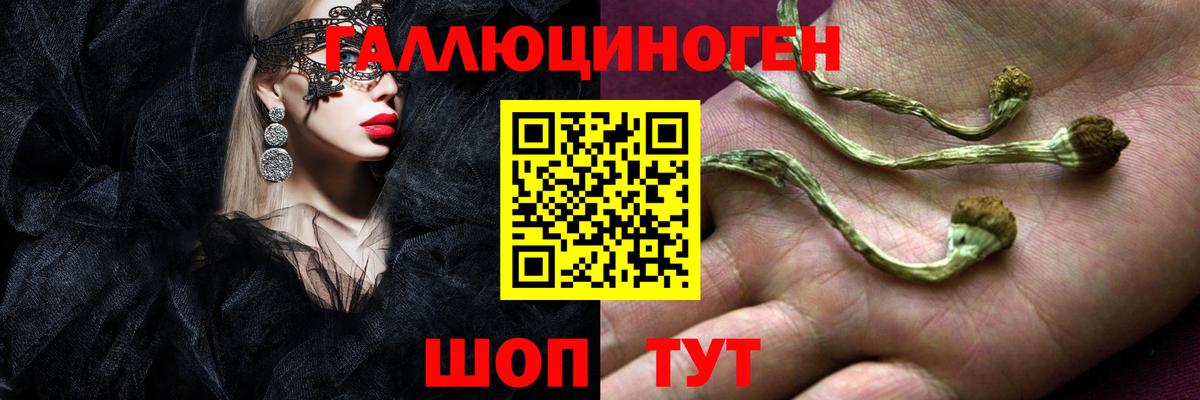 Псилоцибиновые грибы Psilocybe  Псилоцибиновые грибы мухоморы  Ефремов  Вход с VPN 